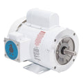 3/4 HP Washdown Motor, Epoxy Finish, Capacitor-Start, 1,725 RPM J856548