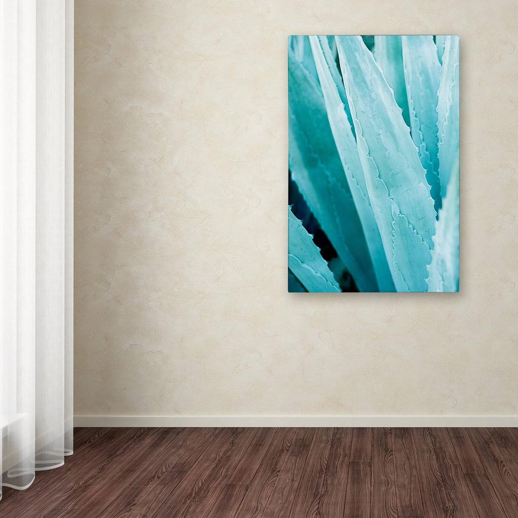Abstract Agava IV Color Canvas Art K9252