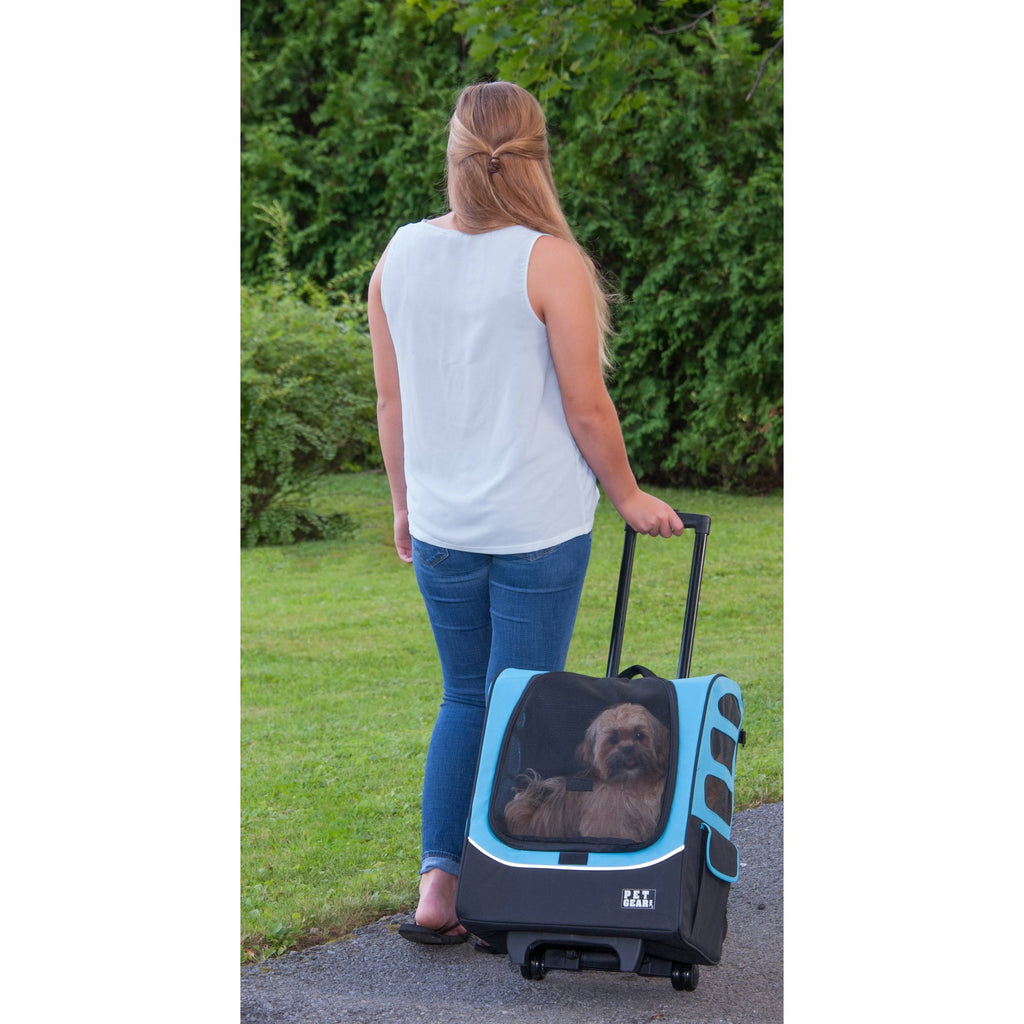 Ocean Blue Pet Carrier Q2427