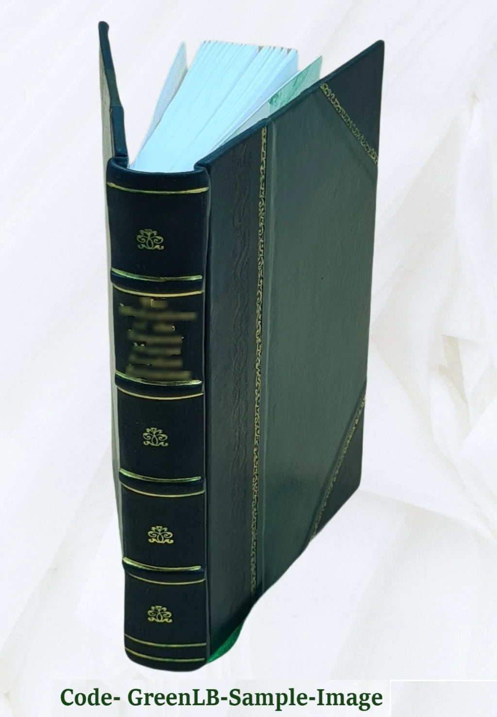 Leather Bound Book C806