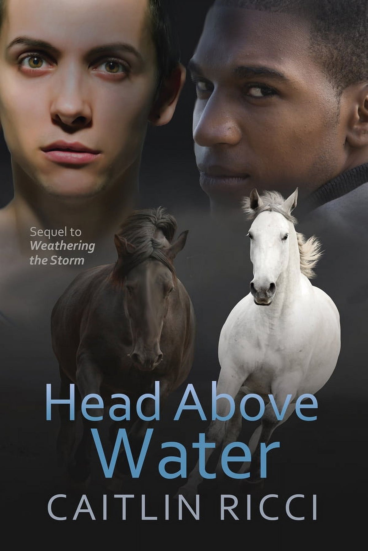 Head Above Water (Series #2) (Edition 1) (Paperback) F89990