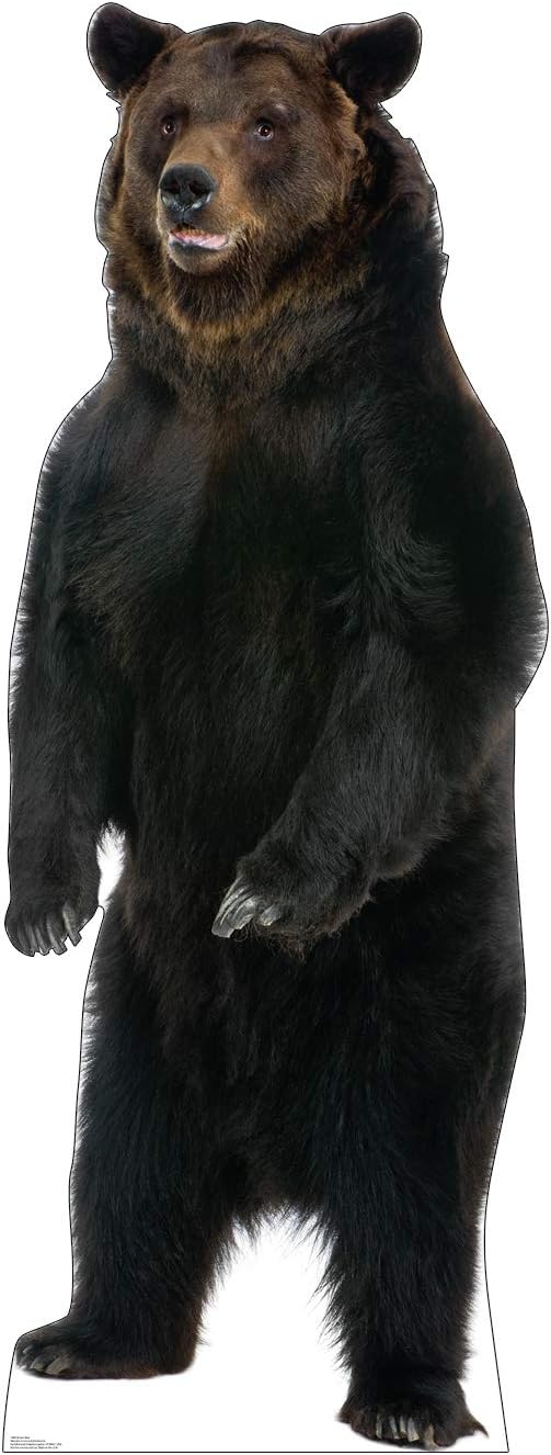 Penguin Life Size Cardboard Cutout Standup Pack of 2 Q61118