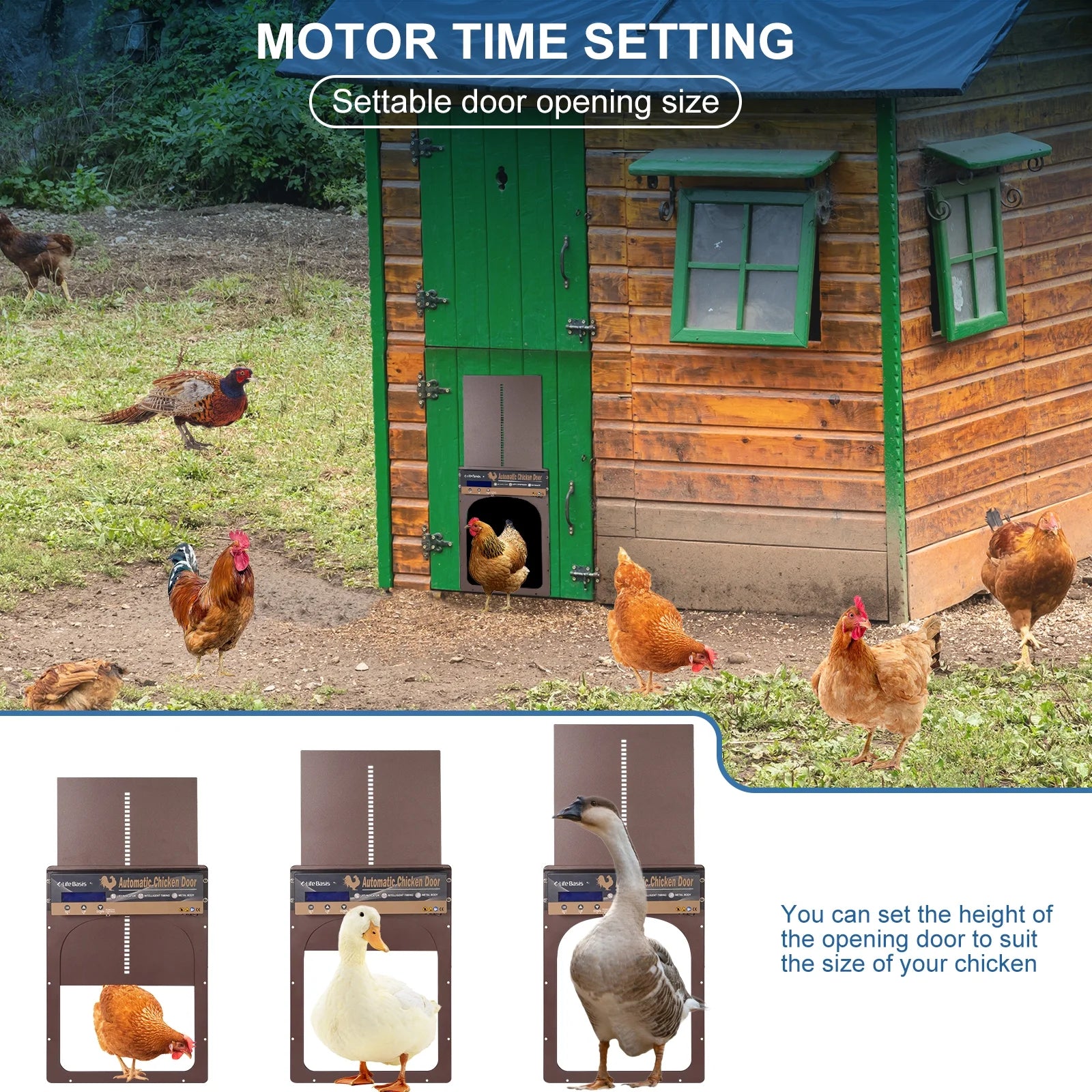 Solar Powered Automatic Chicken Coop Door with Remote Control N84070