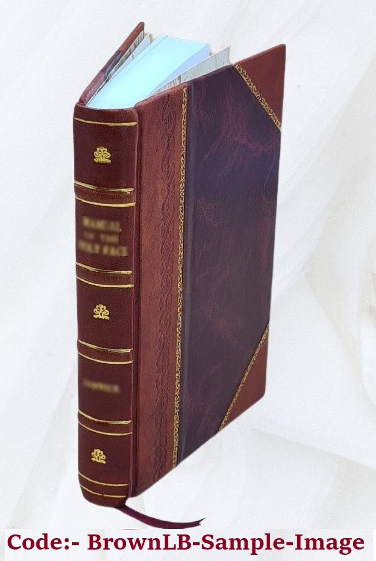 Leather Bound Book C806