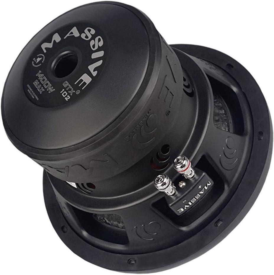 10 Inch Car Audio Subwoofer, 700 Watt RMS, Dual 2 Ohm L97766