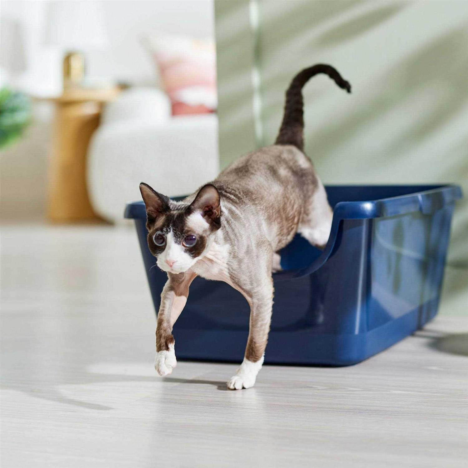 High Sided Cat Litter Box M30098