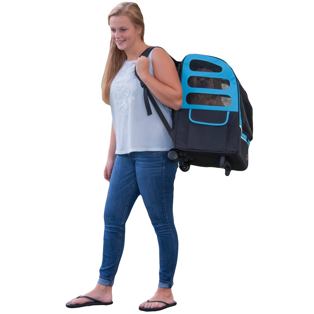 Ocean Blue Pet Carrier Q2427
