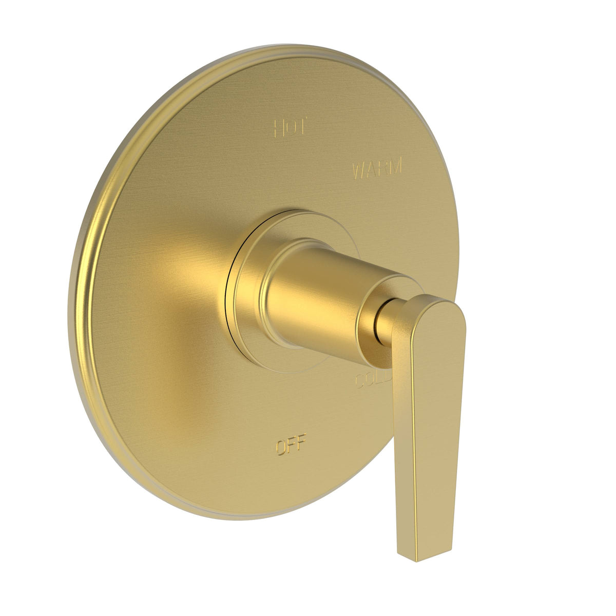 Satin Gold Shower Trim Plate with Handle X275