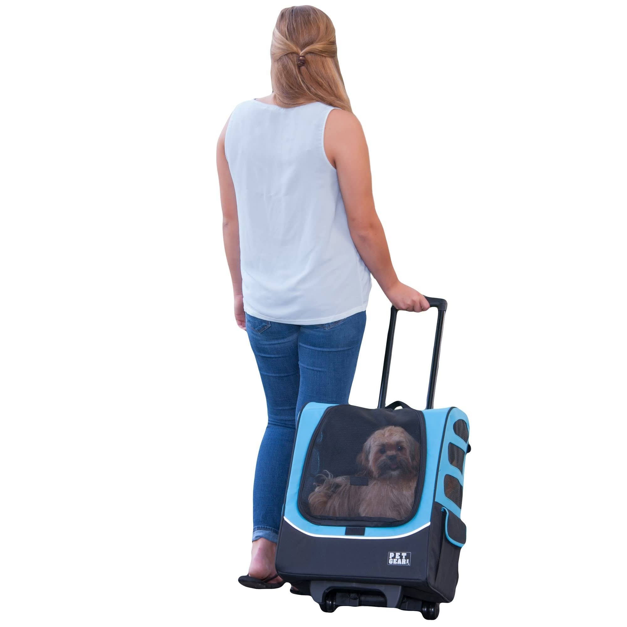 Ocean Blue Pet Carrier Q2427