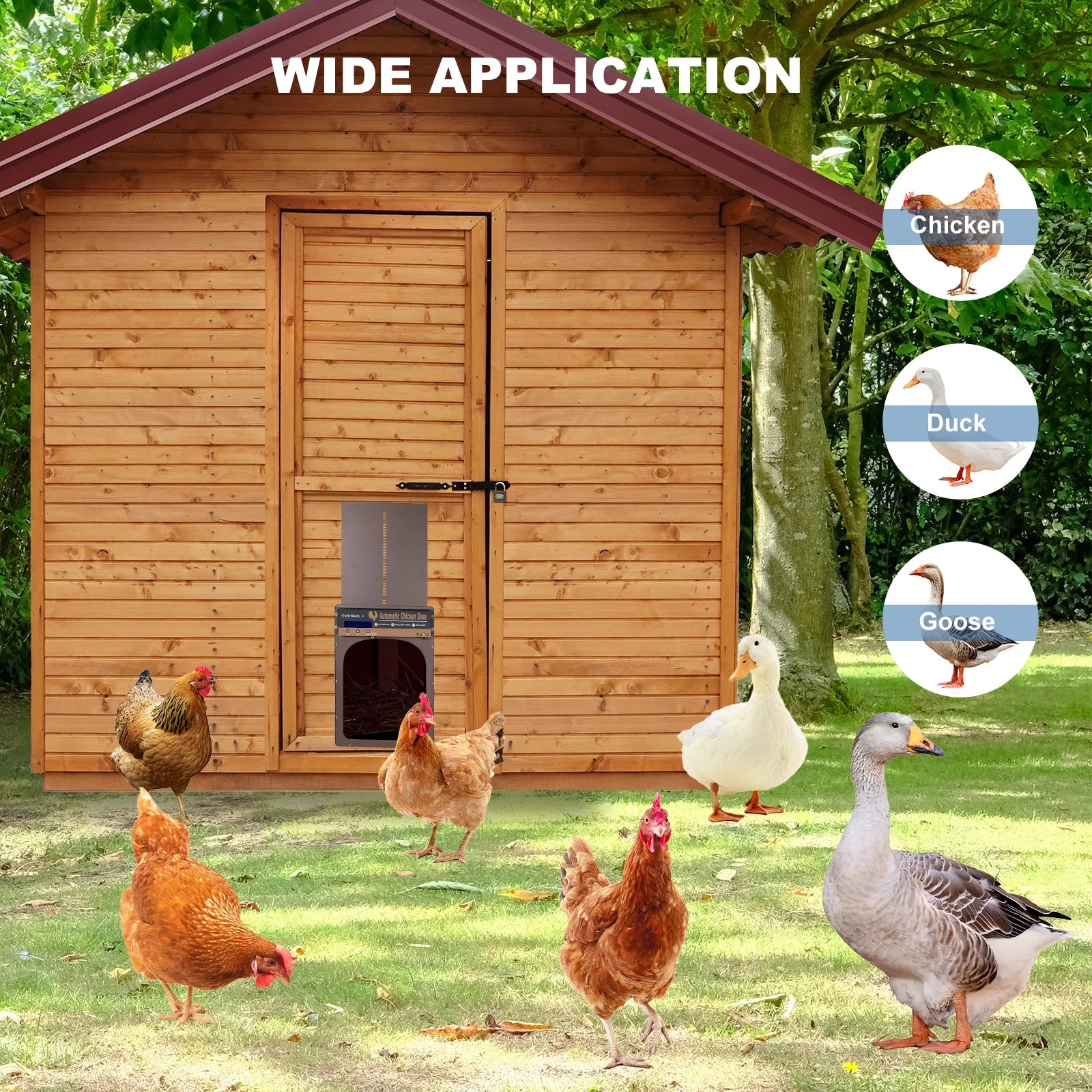 Solar Powered Automatic Chicken Coop Door with Remote Control N84070