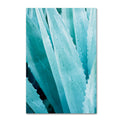 Abstract Agava IV Color Canvas Art K9252