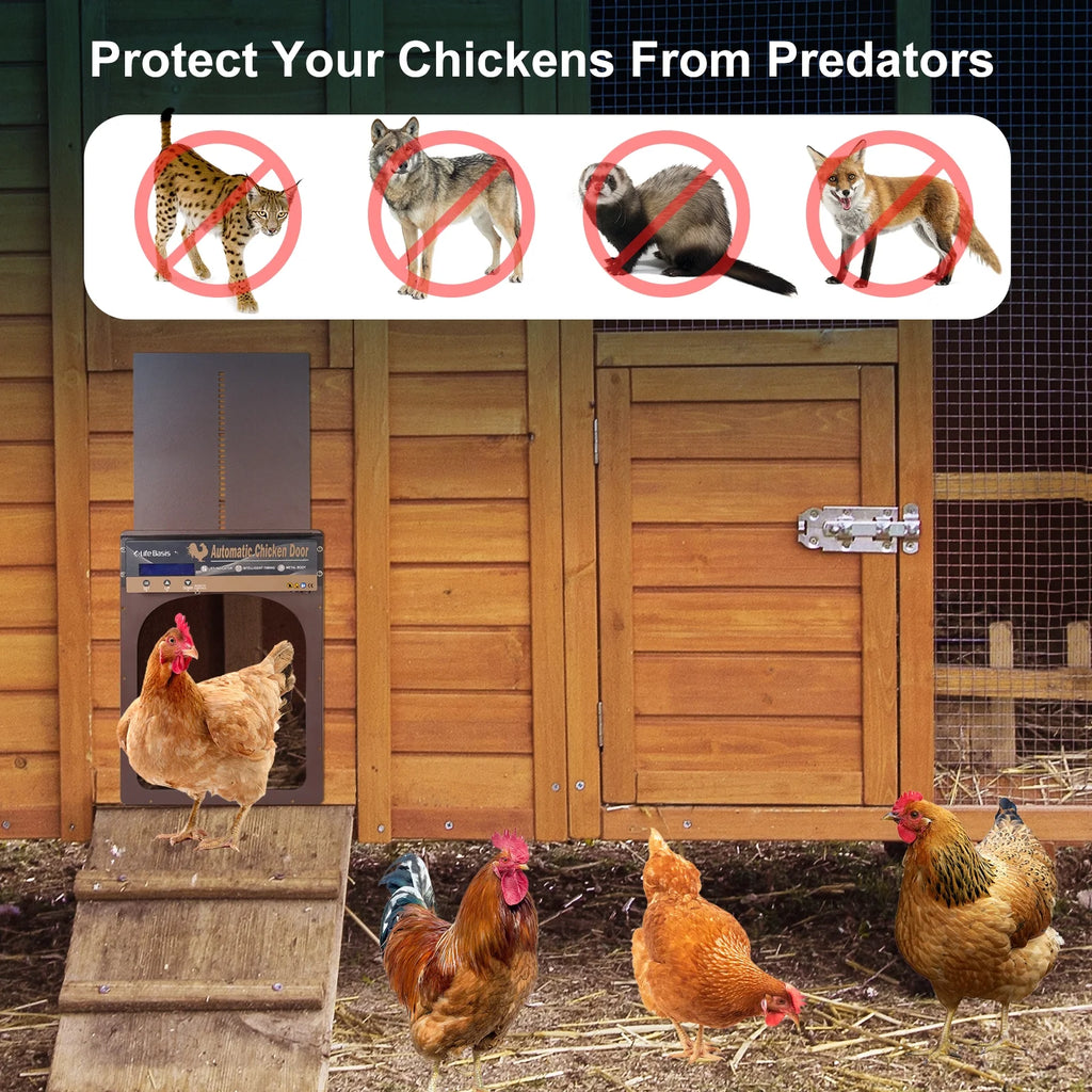 Solar Powered Automatic Chicken Coop Door with Remote Control N84070