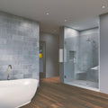 Chrome Frameless Hinged Shower Door W807726