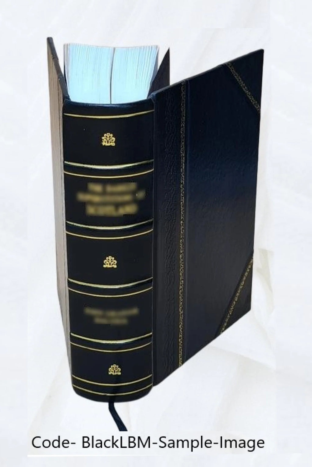 Leather Bound Supreme Court Records and Briefs J15589