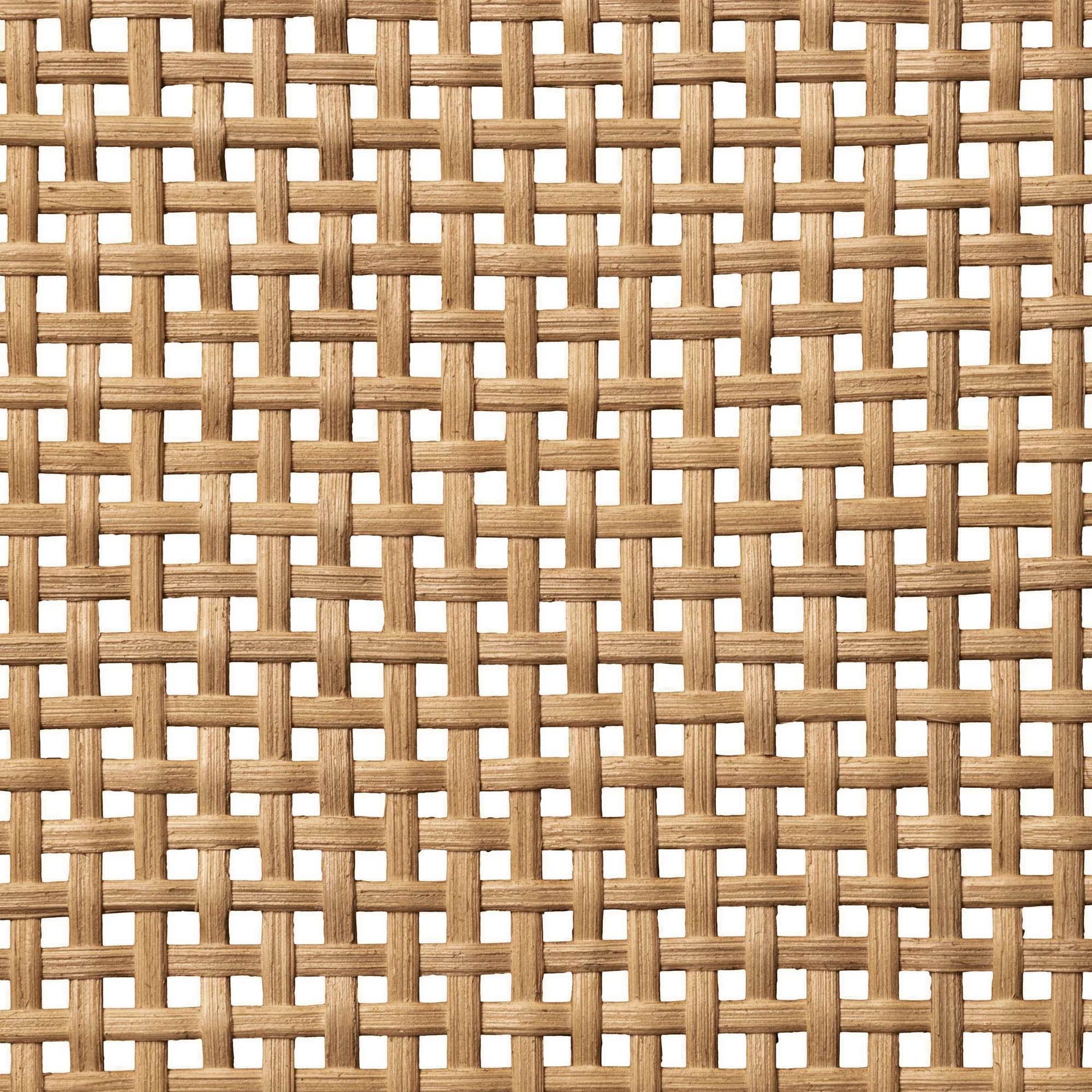 Natural Wood & Cane Cabinet B36631