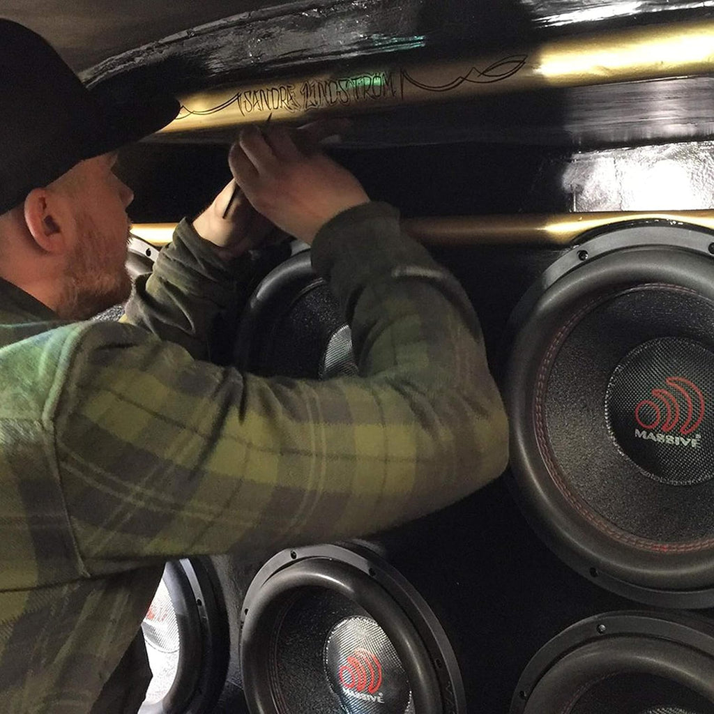 10 Inch Car Audio Subwoofer, 700 Watt RMS, Dual 2 Ohm L97766