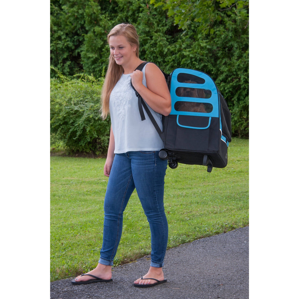 Ocean Blue Pet Carrier Q2427