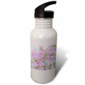 21 oz Sports Water Bottle M555