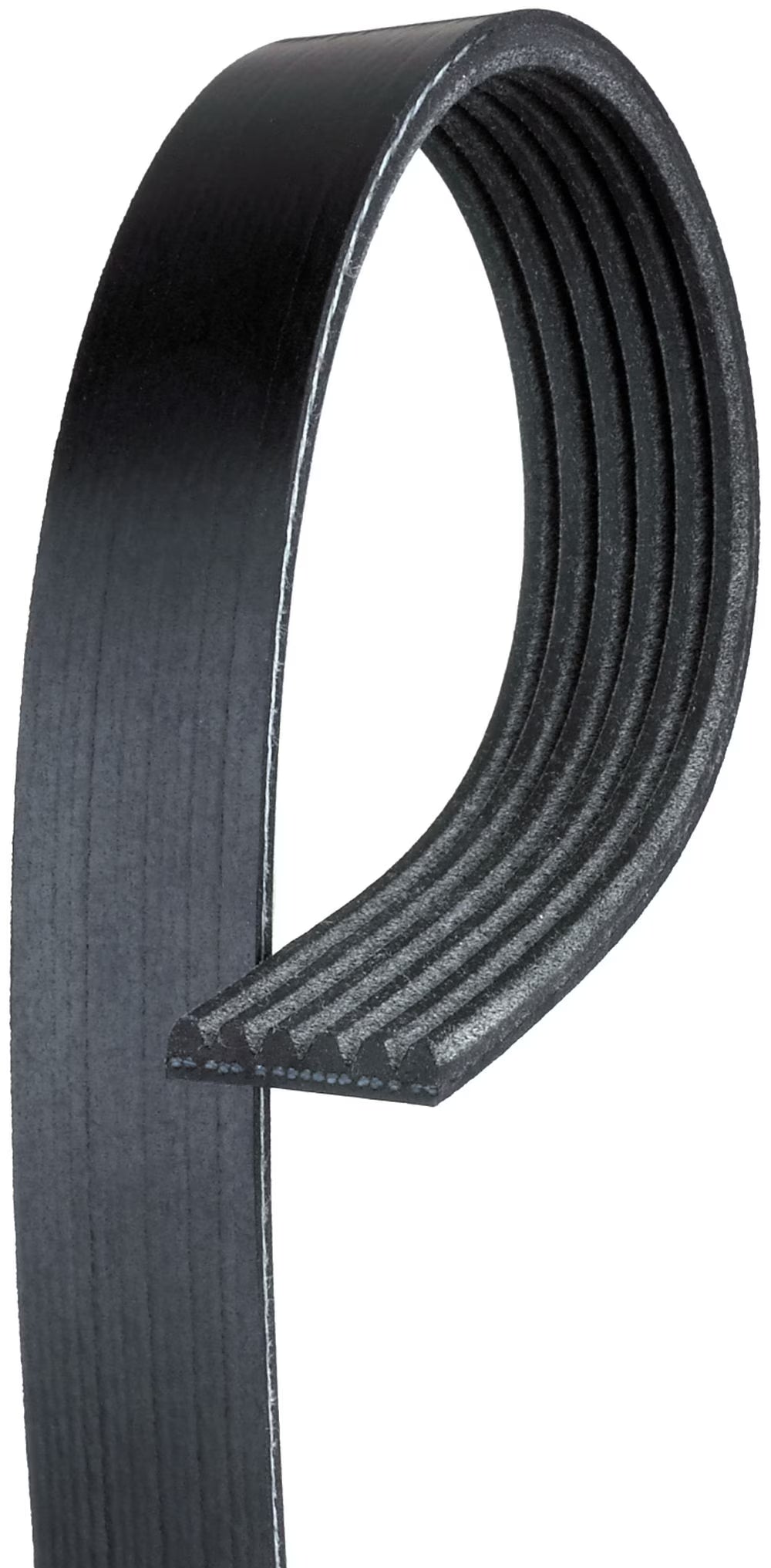 Standard V-Ribbed Serpentine Belt D364906