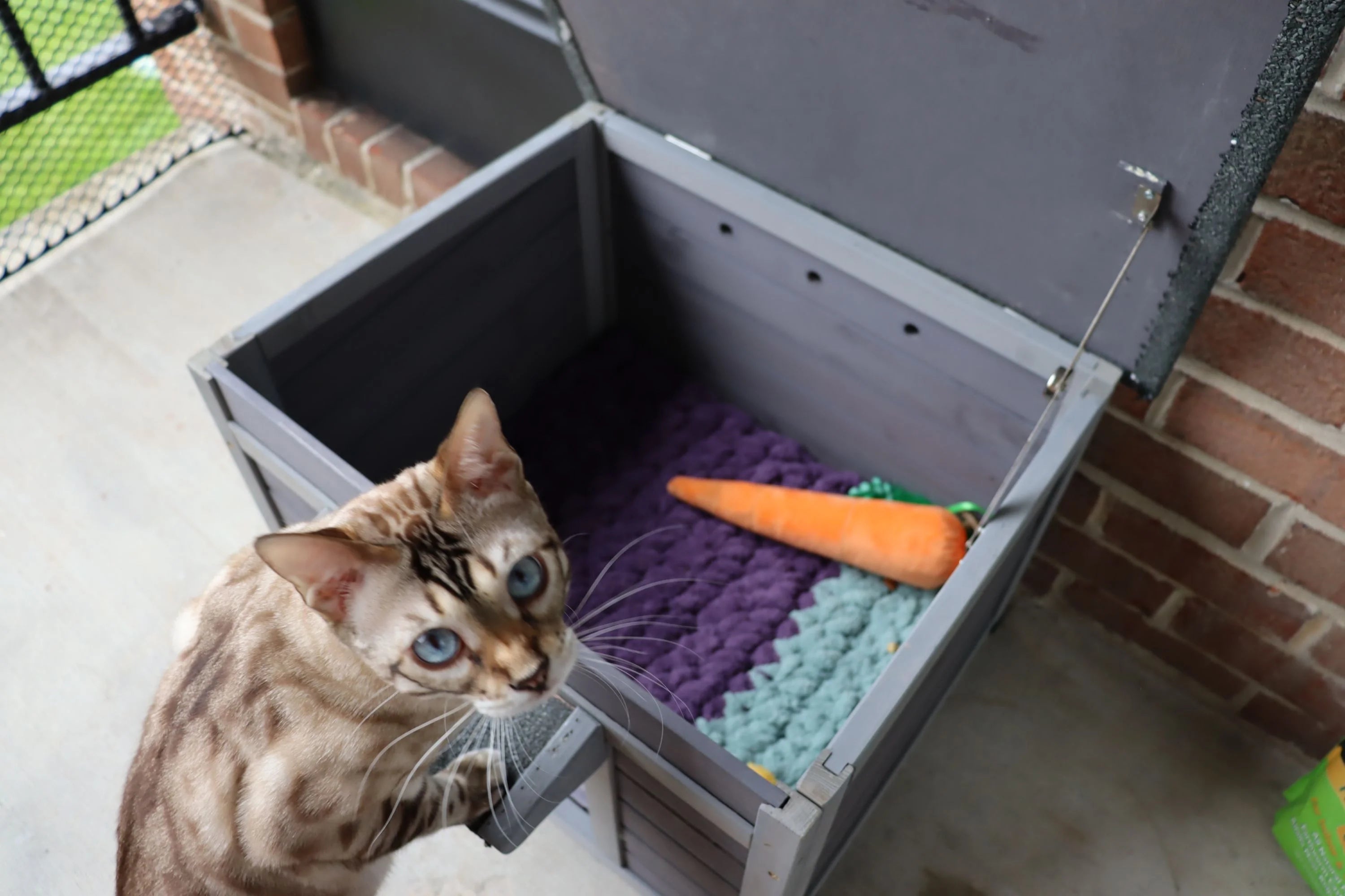 22.3'' Wood Cat House Q396815