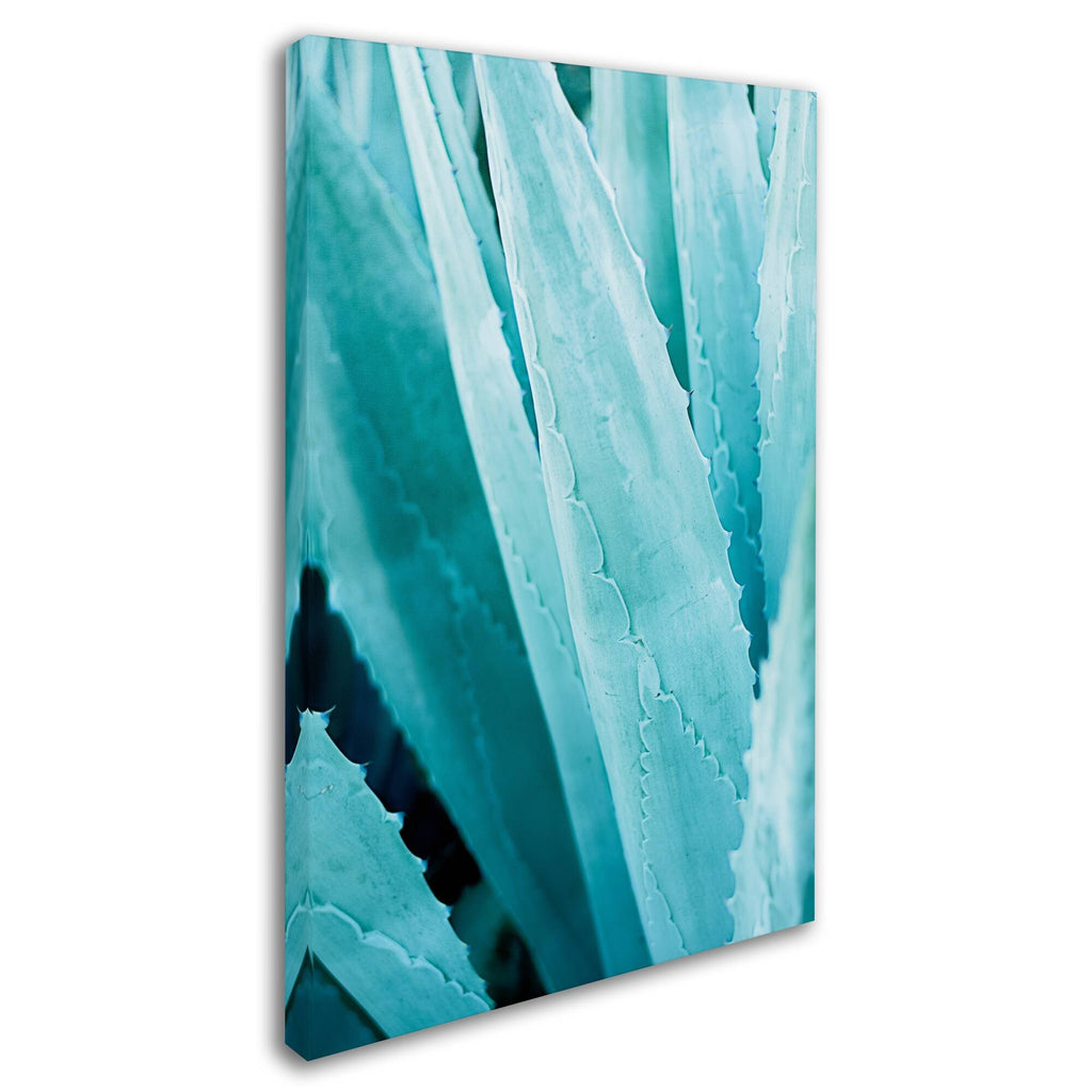 Abstract Agava IV Color Canvas Art K9252