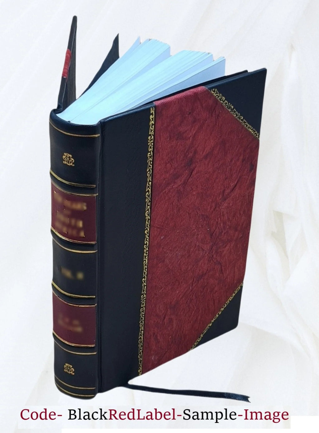 Leather Bound Book C806