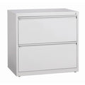 Gray 2 Drawer Lateral File Cabinet F54149